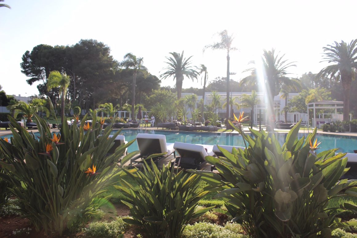 rabat-voyage-sofitel-jardin-des-roses-piscine-13